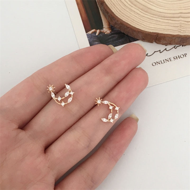 Small Star Earrings